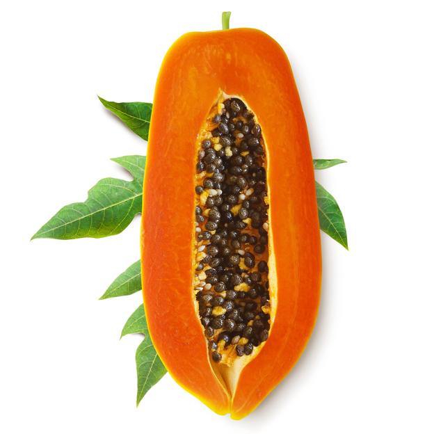 Dieta de la papaya semillas
